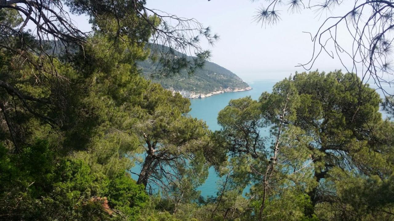 Olive&Sea Villa-Sea マッティナータ エクステリア 写真