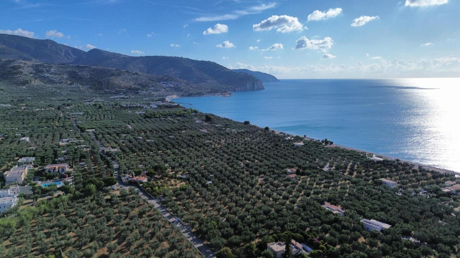 Olive&Sea Villa-Sea マッティナータ エクステリア 写真